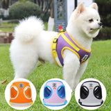 Dog Harness and Leash Set