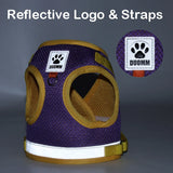 Dog Harness and Leash Set