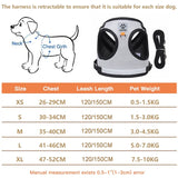 Dog Harness and Leash Set