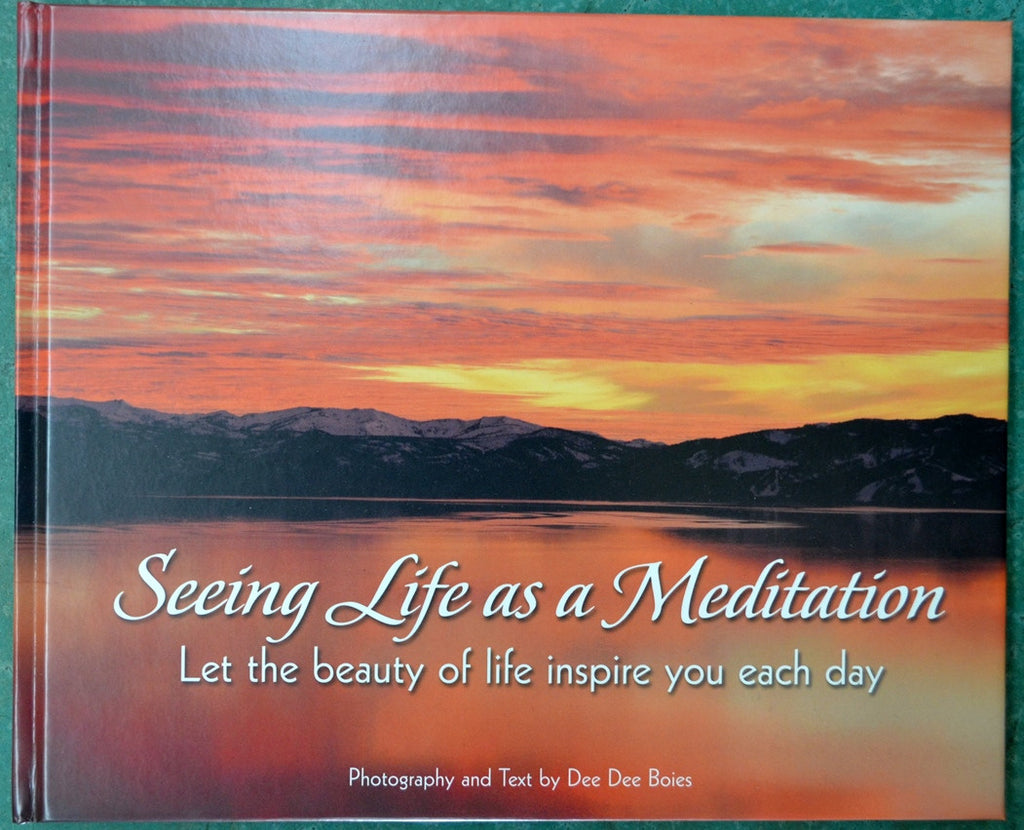 Seeing Life as a Meditation