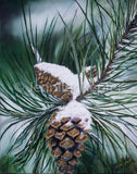 Snowy pinecone